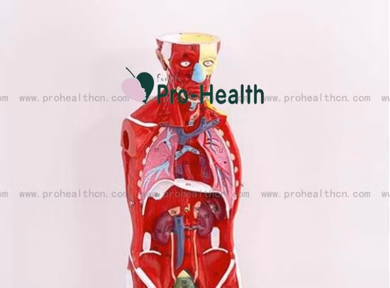 100% 면 테이프 더 접착성 붕대 흰색 스포츠 리지드 테이프 근육 테이프 운동 테이프 스포츠 테이프 의료 테이프